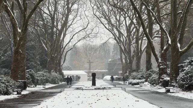A snowy street with trees lining the road at cementary in Cologne, Germany. The trees are bare and the snow is covering the ground. There are two people walking down the street