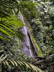 High thin waterfall in a Costa Rican rainforest in the Alajuela province.