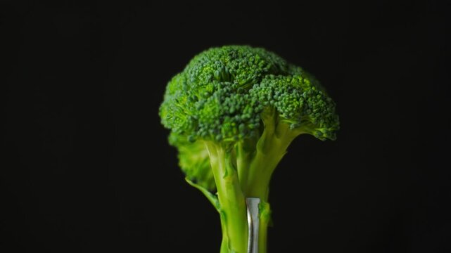 Fresh green broccoli rotates against a black background, showcasing its vibrant color and texture. This visual emphasizes healthy eating, plant based diets, and the appeal of organic vegetables
