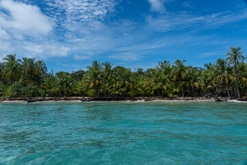Tropical Beach Paradise with Clear Water, Palm Trees, and Blue Sky - A Serene, Unspoiled Island Destination Offering Eco-Tourism and Adventure Travel in a Beautiful, Scenic Caribbean Setting