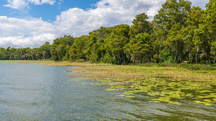 Florida lakes forests and mashlands growth.