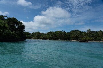 Tropical Beach Paradise with Clear Water, Palm Trees, and Blue Sky - A Serene, Unspoiled Island Destination Offering Eco-Tourism and Adventure Travel in a Beautiful, Scenic Caribbean Setting