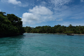 Tropical Beach Paradise with Clear Water, Palm Trees, and Blue Sky - A Serene, Unspoiled Island Destination Offering Eco-Tourism and Adventure Travel in a Beautiful, Scenic Caribbean Setting