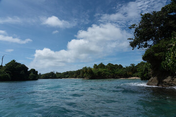 Tropical Beach Paradise with Clear Water, Palm Trees, and Blue Sky - A Serene, Unspoiled Island Destination Offering Eco-Tourism and Adventure Travel in a Beautiful, Scenic Caribbean Setting