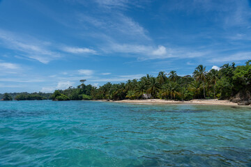 Clear Blue Water and Scenic Tropical Beach Surrounded by Palm Trees and Lush Nature - A Serene Island Paradise Offering Eco-Tourism and Adventure Travel in a Remote, Unspoiled Caribbean Destination