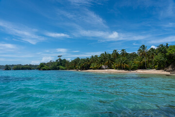 Clear Blue Water and Scenic Tropical Beach Surrounded by Palm Trees and Lush Nature - A Serene Island Paradise Offering Eco-Tourism and Adventure Travel in a Remote, Unspoiled Caribbean Destination