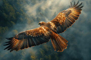 Fototapeta premium A majestic hawk soaring through misty sky, showcasing its impressive wingspan and vibrant plumage. scene captures essence of freedom and grace..
