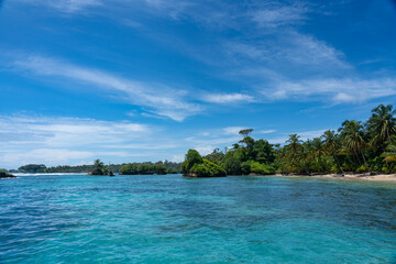 Clear Blue Water and Scenic Tropical Beach Surrounded by Palm Trees and Lush Nature - A Serene Island Paradise Offering Eco-Tourism and Adventure Travel in a Remote, Unspoiled Caribbean Destination