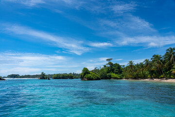 Clear Blue Water and Scenic Tropical Beach Surrounded by Palm Trees and Lush Nature - A Serene Island Paradise Offering Eco-Tourism and Adventure Travel in a Remote, Unspoiled Caribbean Destination