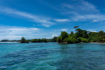 Clear Blue Water and Scenic Tropical Beach Surrounded by Palm Trees and Lush Nature - A Serene Island Paradise Offering Eco-Tourism and Adventure Travel in a Remote, Unspoiled Caribbean Destination