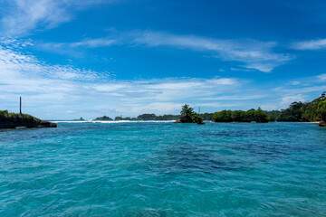 Fototapeta premium Clear Blue Water and Scenic Tropical Beach Surrounded by Palm Trees and Lush Nature - A Serene Island Paradise Offering Eco-Tourism and Adventure Travel in a Remote, Unspoiled Caribbean Destination