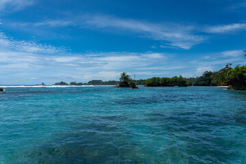 Clear Blue Water and Scenic Tropical Beach Surrounded by Palm Trees and Lush Nature - A Serene Island Paradise Offering Eco-Tourism and Adventure Travel in a Remote, Unspoiled Caribbean Destination