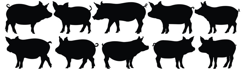 Pig silhouette set vector design big pack of animal illustration and icon