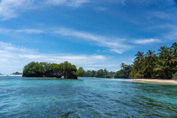 Clear Blue Water and Scenic Tropical Beach Surrounded by Palm Trees and Lush Nature - A Serene Island Paradise Offering Eco-Tourism and Adventure Travel in a Remote, Unspoiled Caribbean Destination