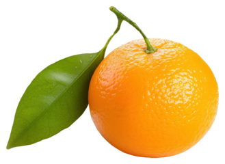 PNG Grapefruit tangerine plant food.