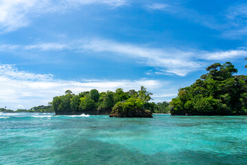 Clear Blue Water and Scenic Tropical Beach Surrounded by Palm Trees and Lush Nature - A Serene Island Paradise Offering Eco-Tourism and Adventure Travel in a Remote, Unspoiled Caribbean Destination