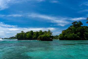 Fototapeta premium Clear Blue Water and Scenic Tropical Beach Surrounded by Palm Trees and Lush Nature - A Serene Island Paradise Offering Eco-Tourism and Adventure Travel in a Remote, Unspoiled Caribbean Destination