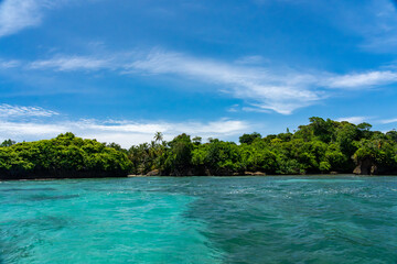 Clear Blue Water and Scenic Tropical Beach Surrounded by Palm Trees and Lush Nature - A Serene Island Paradise Offering Eco-Tourism and Adventure Travel in a Remote, Unspoiled Caribbean Destination