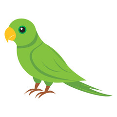 Bird illustration vector art