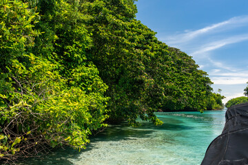 adventure, beach, blue, blue sky, caribbean, clouds, coast, coastline, crystal clear water, eco-tourism, exotic, green foliage, holiday, island, jungle, landscape, lush vegetation, maldives, nature, o