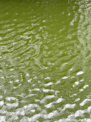 water surface with ripples