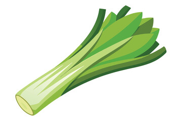 Leek vector illustration isolated in white background