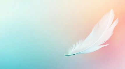 Naklejka premium White Feather on Pastel Gradient Background