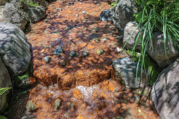 May 16 2024 a Shaven Monk Head Hell Hot Springs