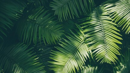 Lush Green Palm Leaf Texture Background