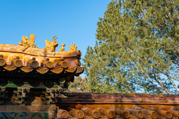 China Beijing Palace Museum Ancient Architecture Landscape
