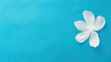 White Flower on Blue Background   Minimalist Floral Design