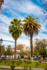 Obraz premium PALERAS DE TARIJA