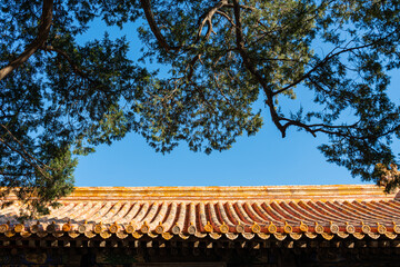 China Beijing Palace Museum Ancient Architecture Landscape