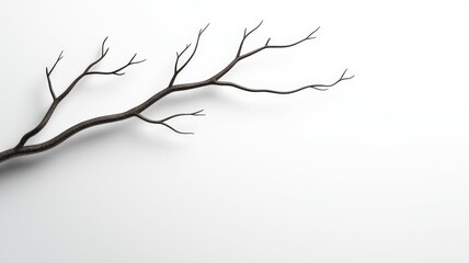 Fototapeta premium A thin branch with no leaves is shown against a white background