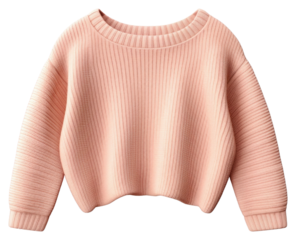 PNG Sweatshirt sweater coathanger outerwear.