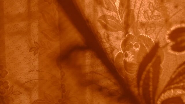 Window and sunset sunlight, moving vintage curtain and floral shadow on beige background. Minimal interior decoration. Cozy home. Autumn style aesthetics