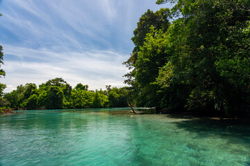 Tropical Island Paradise with Crystal Clear Water, Lush Greenery, and Serene Beaches - Stunning Caribbean Landscape for Eco-Tourism, Adventure, and Unspoiled Nature Travel Destinations