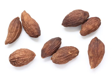 Cardamom isolated on white