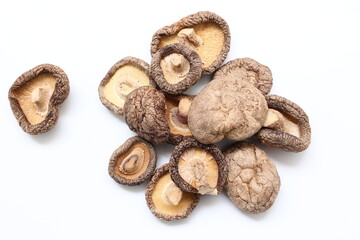 Mushroom on white background 