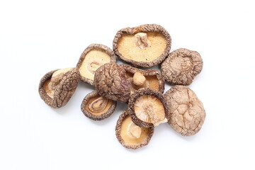 Mushroom on white background
