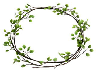 PNG Mistletoe wreath plant white background branch.