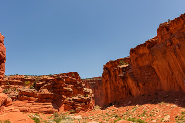 Fototapeta premium Canyon Landscape Background