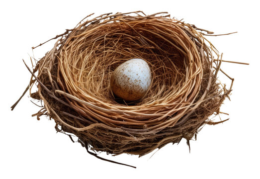 Bird Nest with Egg Isolated on Transparent Background.