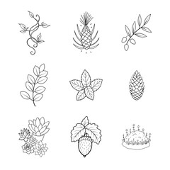 9 icon set of elements for  Fower design