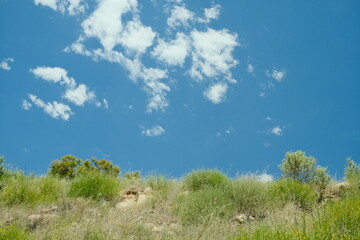 Obraz premium Ojai, California hike in the hills with gorgeous scenery with bright blue skies and amazing views of the wineries and nature scenes