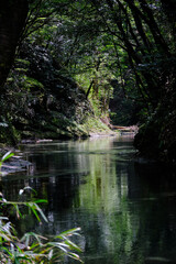 大出水の湧水の美しい景色