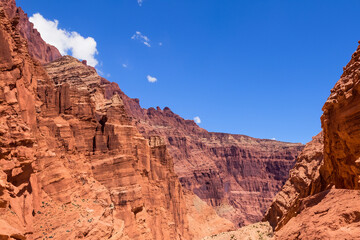 Canyon Landscape Background