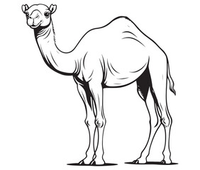 Camel cartoon illustration coloring page of a cute camel