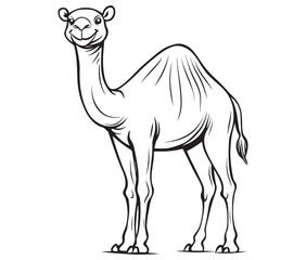 Camel cartoon illustration coloring page of a cute camel