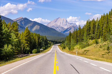 Fototapeta premium Scenic Road through Majestic Mountains in Kananaskis, Alberta, Canada with Clear Blue Sky and Vibrant Greenery